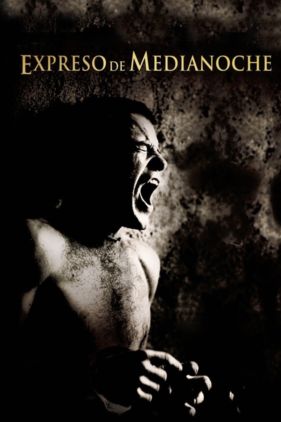 Expreso de medianoche